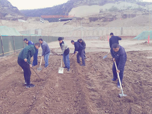 陜煤建設天工公司土建三部不負時光“務農” 豐富員工餐桌