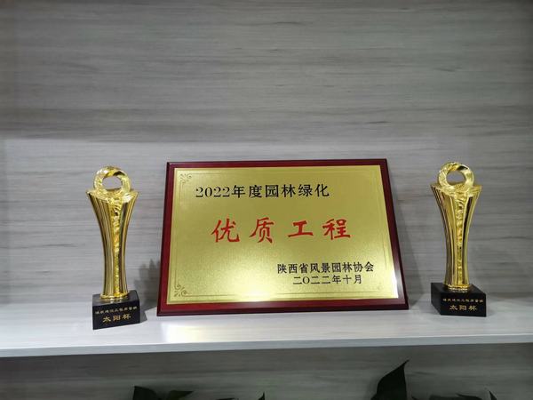 陜煤建設銅煤公司創優收獲碩果滿枝