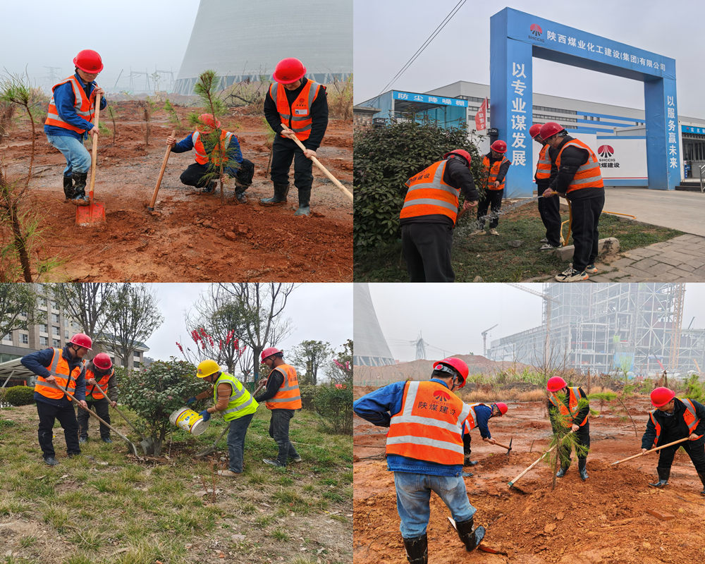 陜煤建設漢中分公司:為工地添綠 為環(huán)保賦能