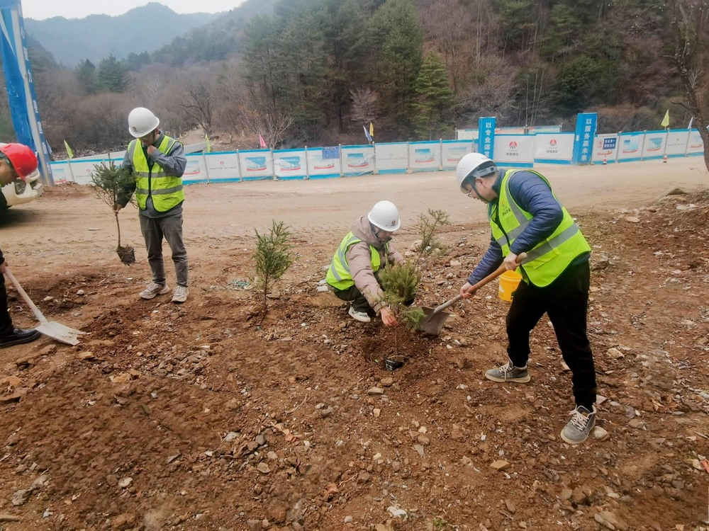 “植”此青綠,陜煤建設路橋分公司春風十里添新林