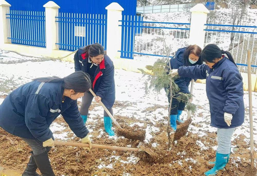 陜煤建設礦建三公司:巾幗添綠綻芳華,共筑生態(tài)新環(huán)境